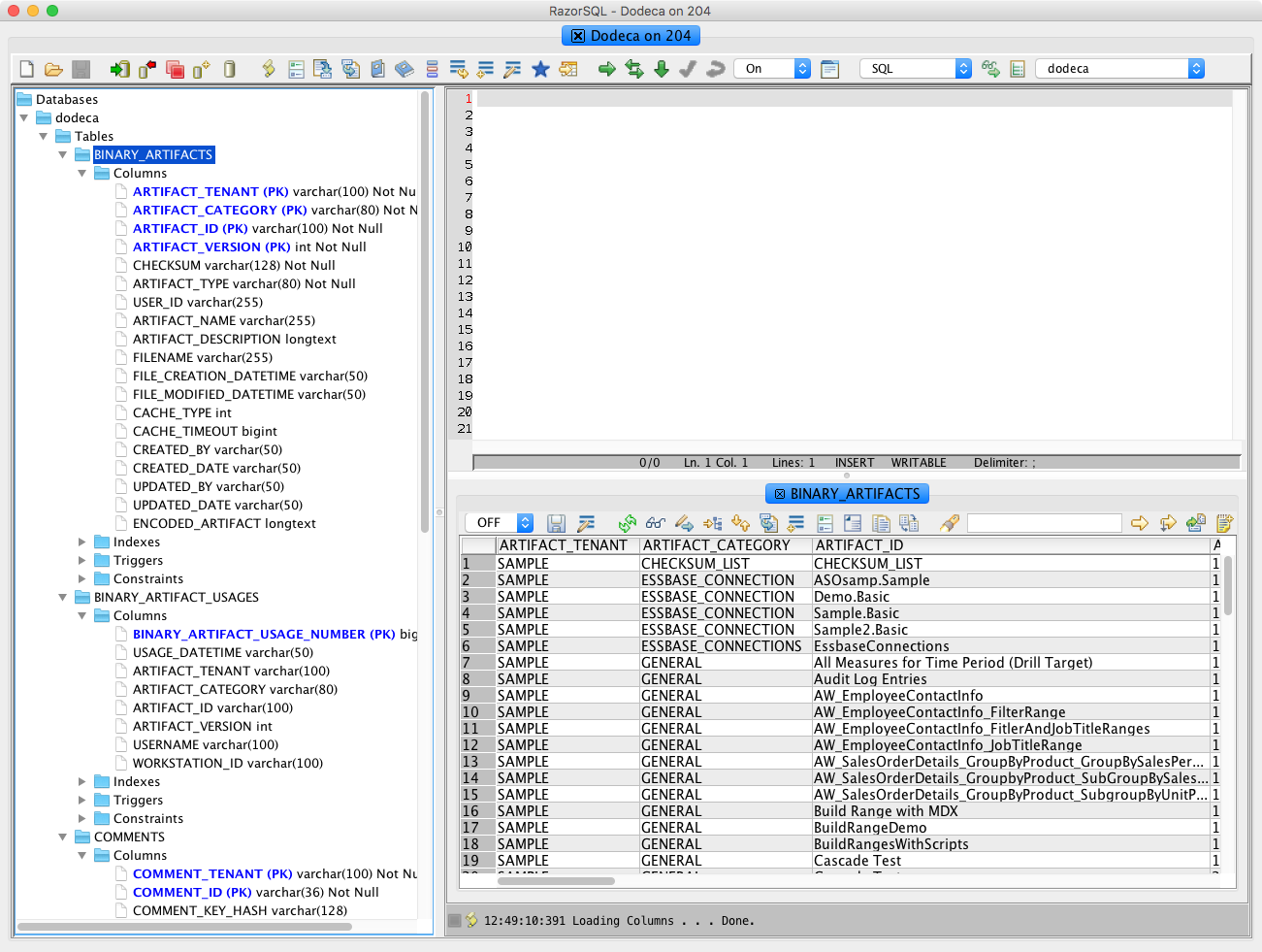 Column definitions for various tables in a Dodeca repository